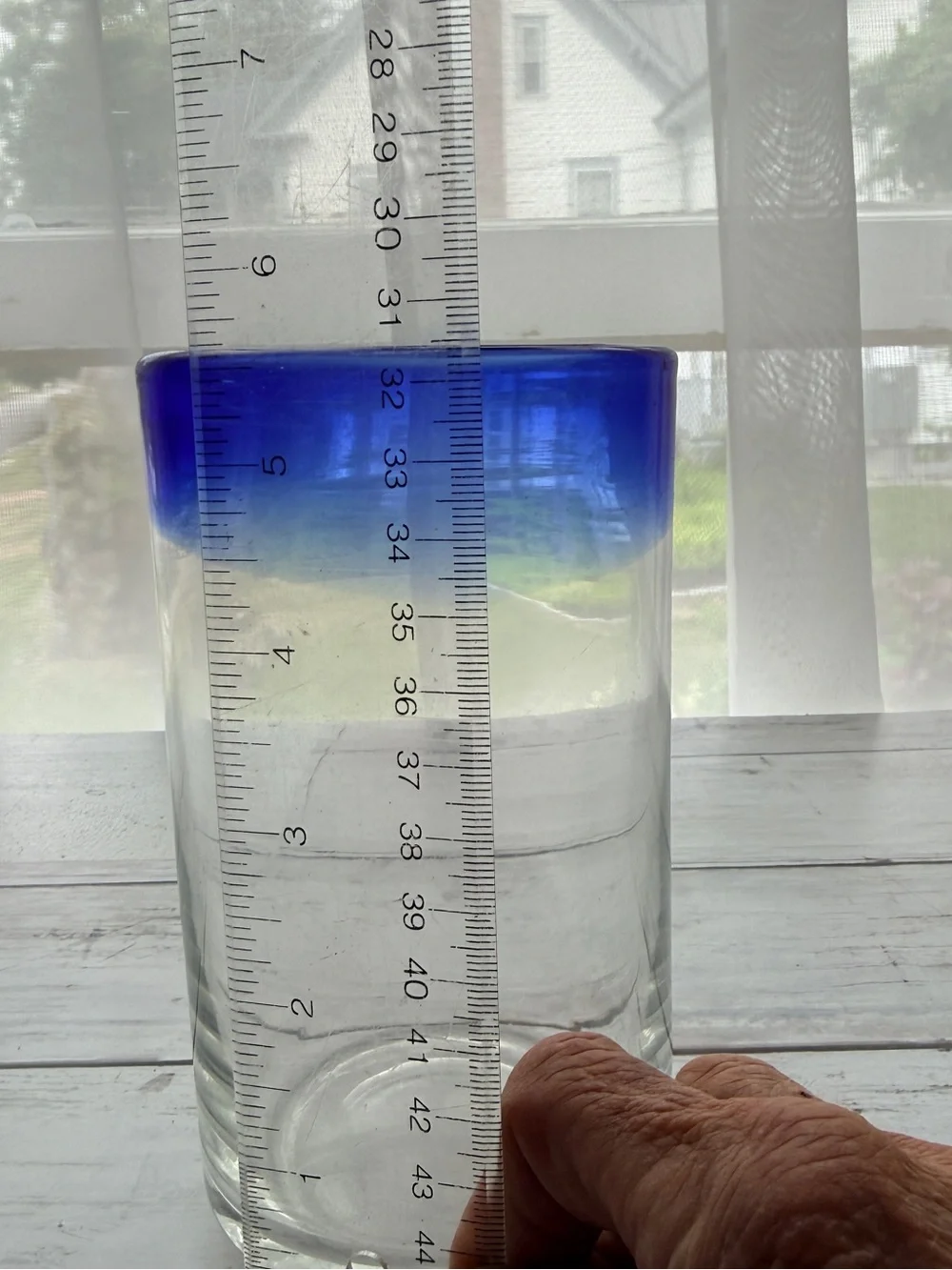 Blue Rim Clear Glass Tumbler - Home Dining